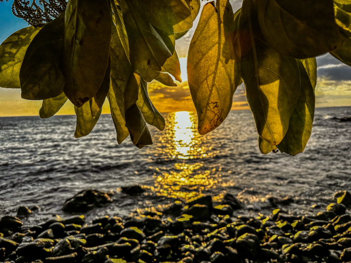 Hawaiian sunset through leaves