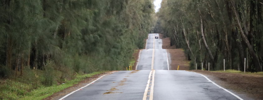 View along Kohala Mountain Road