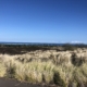 View of the ocean from Queen K Hwy