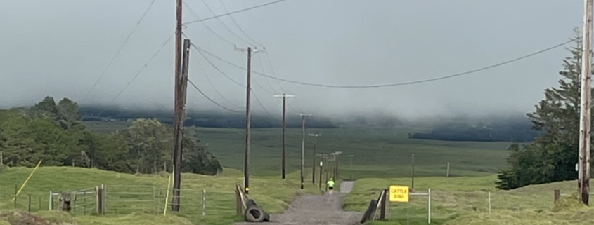 Runner on Mana Road towards Mauna Kea