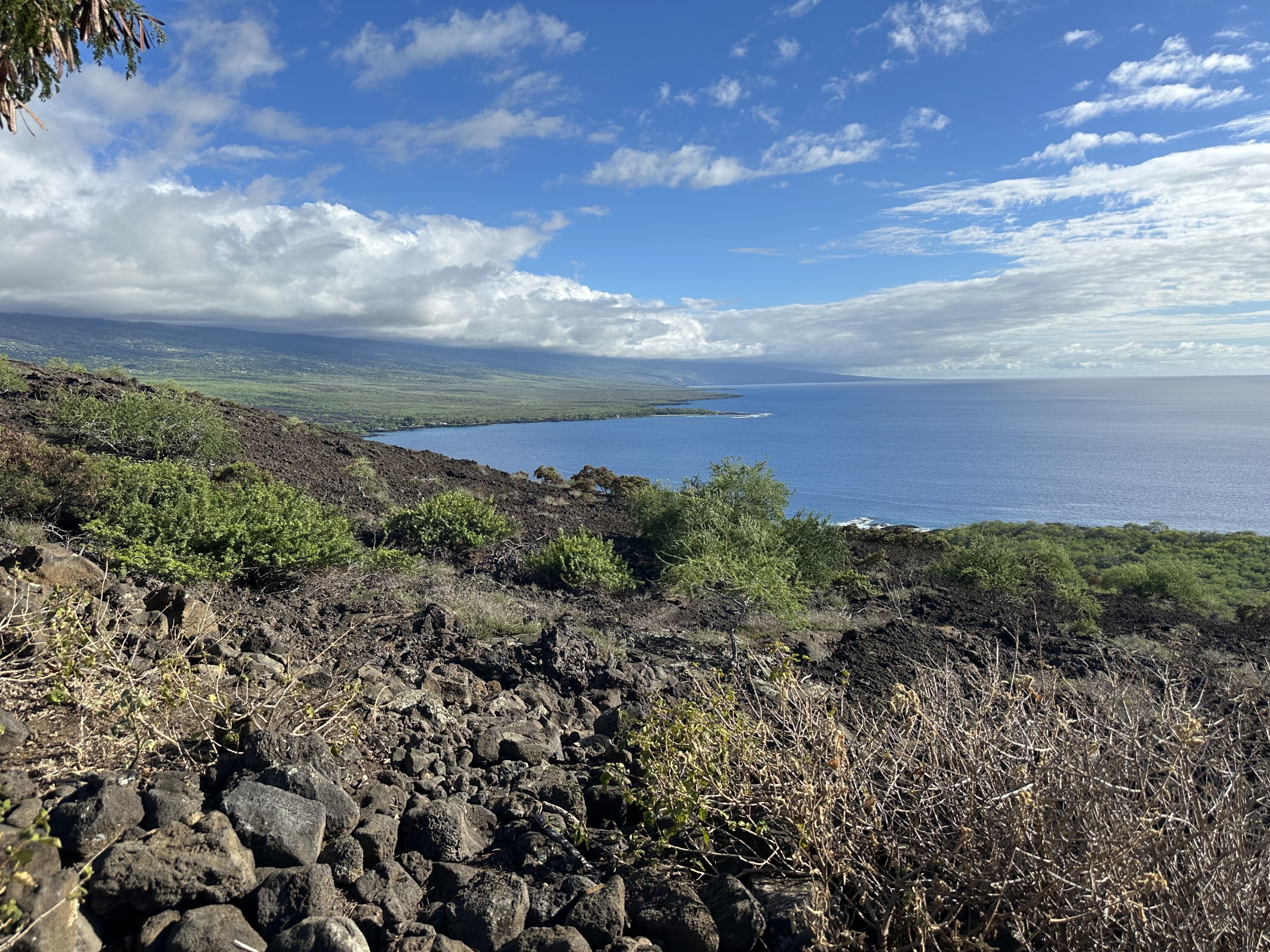 An Afternoon to Remember in Captain Cook, Hawaii | Kona Vacation