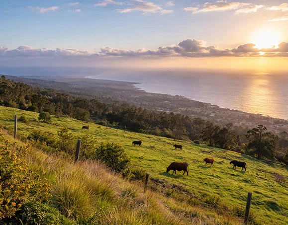 Kailua-Kona countryside