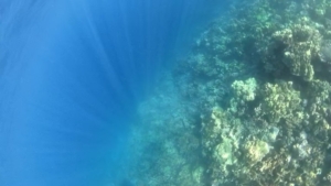 Clear waters of Kealakekua Bay