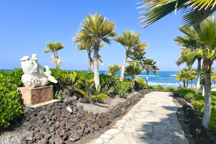 Path to the ocean with Palm trees