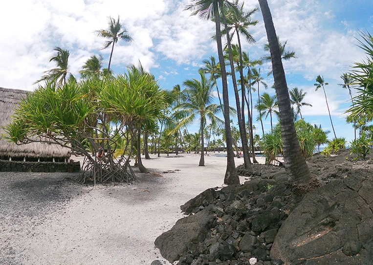 Traditional thatched hale and lava rock walls at Puʻuhonua o Hōnaunau National Historical Park, Kona, Hawaii